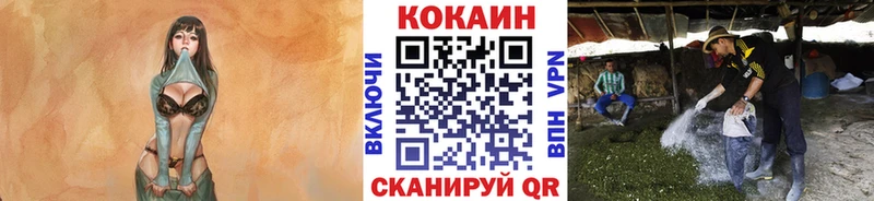 Кокаин FishScale Калач