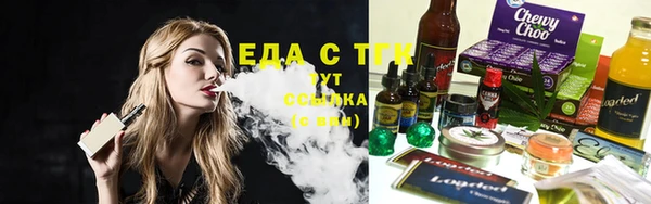 мдпв Козельск