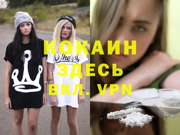 мдпв Козельск