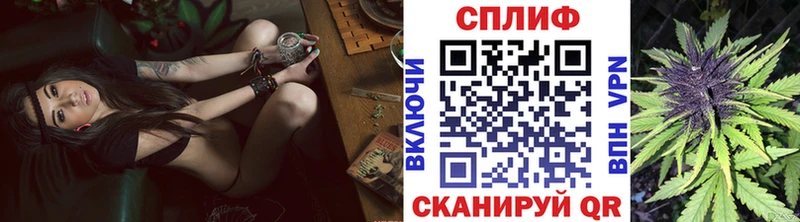 Каннабис OG Kush  Купить где  Калач 